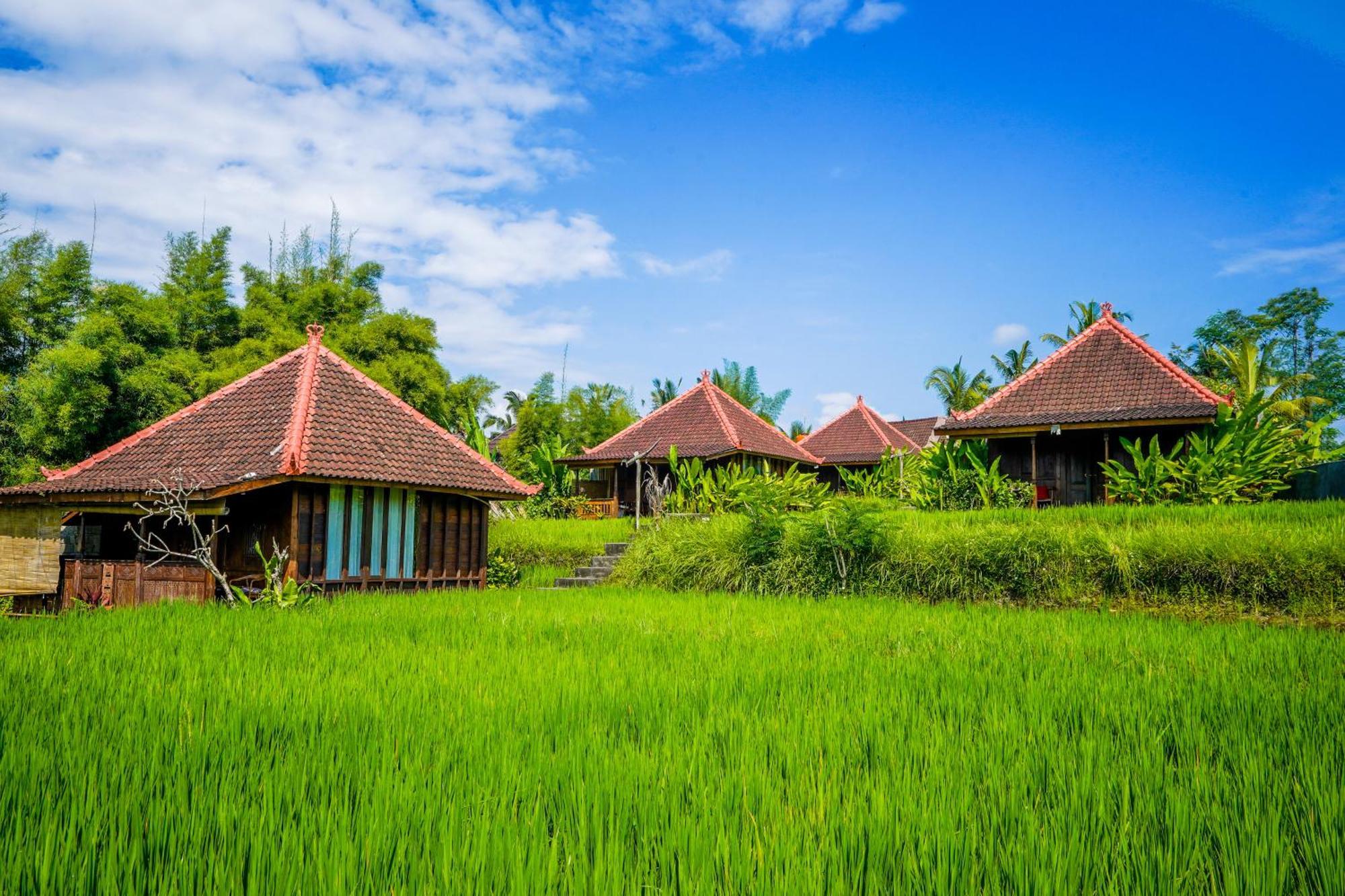 Ubud Sawah Scenery Villa And Homestay Тегалаланг Екстериор снимка