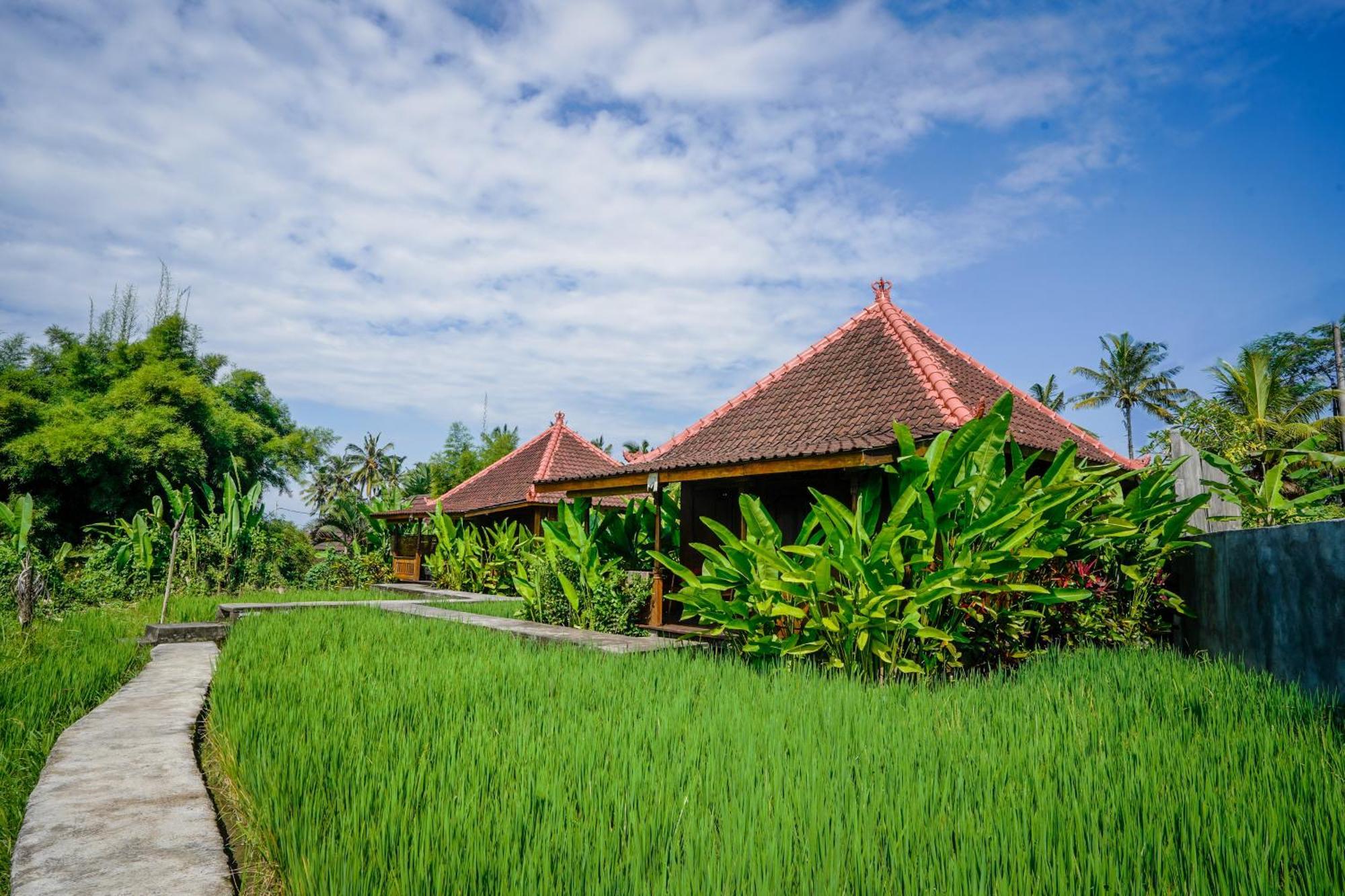 Ubud Sawah Scenery Villa And Homestay Тегалаланг Екстериор снимка