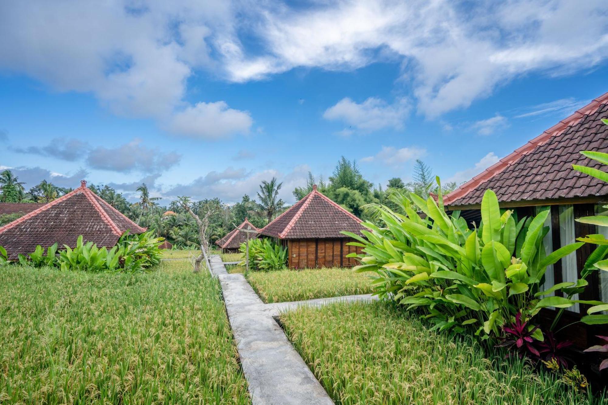 Ubud Sawah Scenery Villa And Homestay Тегалаланг Екстериор снимка