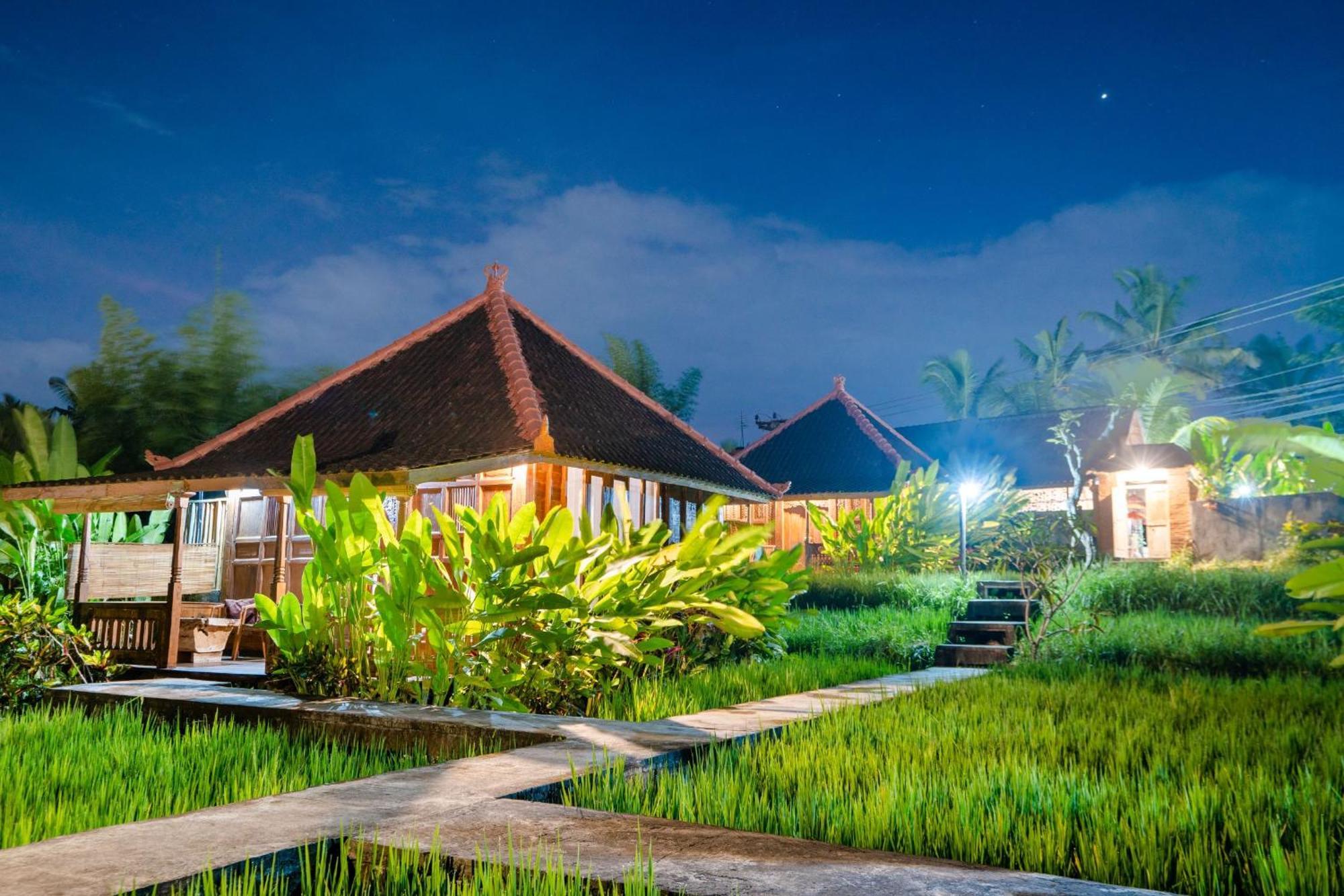 Ubud Sawah Scenery Villa And Homestay Тегалаланг Екстериор снимка