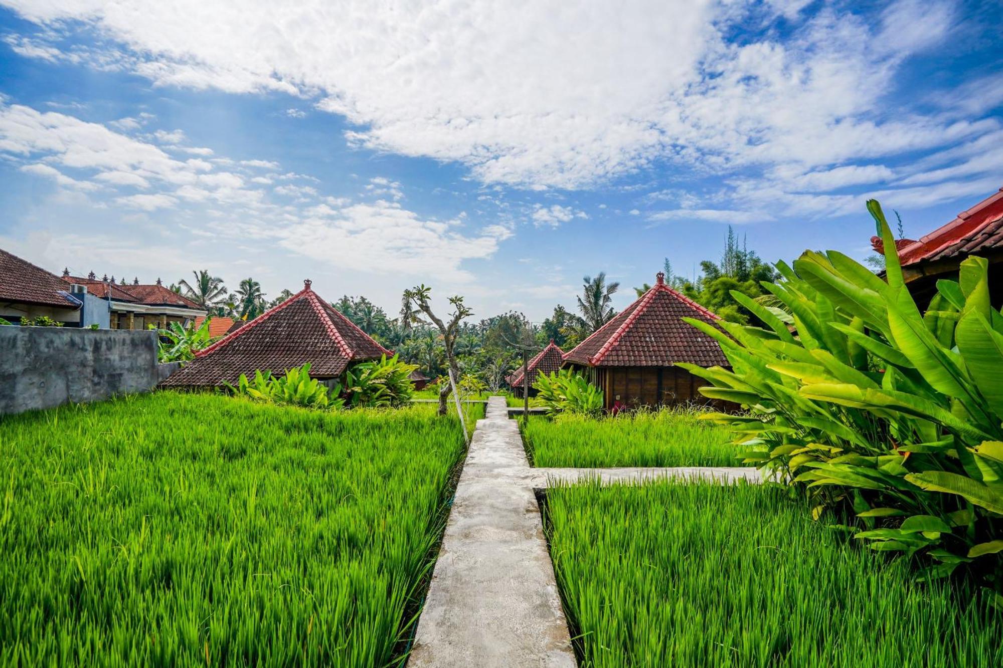 Ubud Sawah Scenery Villa And Homestay Тегалаланг Екстериор снимка